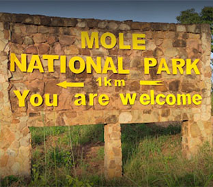 Mole National Park