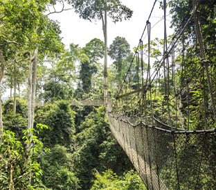 Kakum National Park